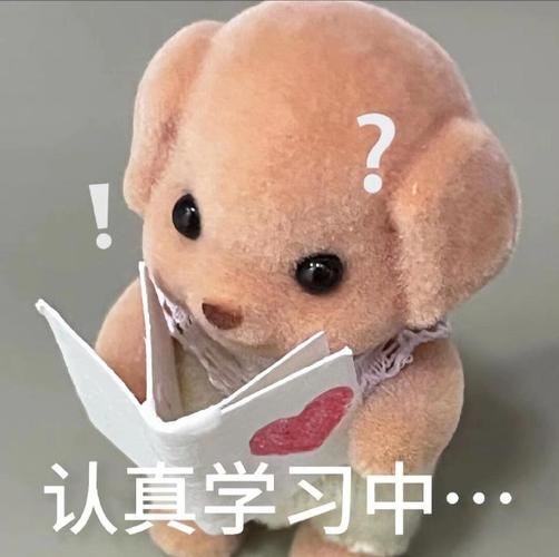 SD-WAN國(guó)際專(zhuān)線(xiàn)服務(wù)商如何選擇？