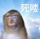 Steam遭黑客攻擊，ddos攻擊對游戲服務(wù)器有何影響？
