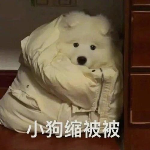 MPLS是什么？有哪些特點(diǎn)？
