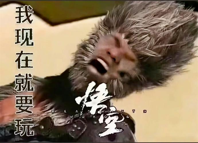 服務(wù)器有哪些種類？