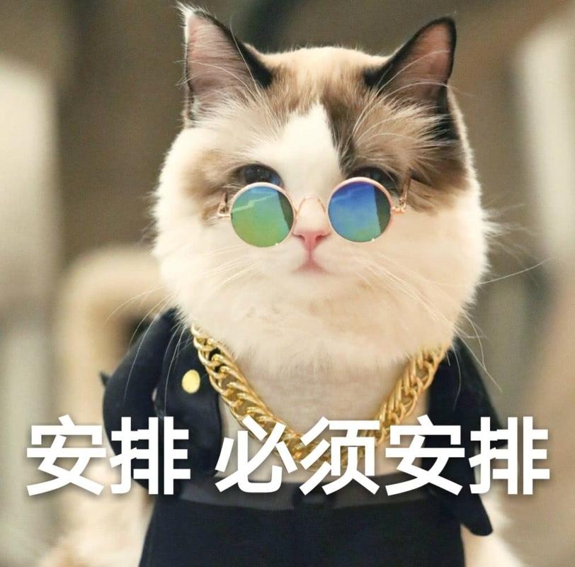 跨國線上視頻會議很卡該怎么辦？