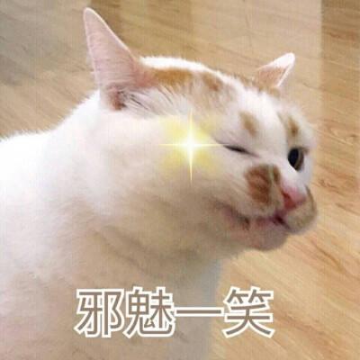 SD-WAN國(guó)際專(zhuān)線(xiàn)服務(wù)商如何選擇？