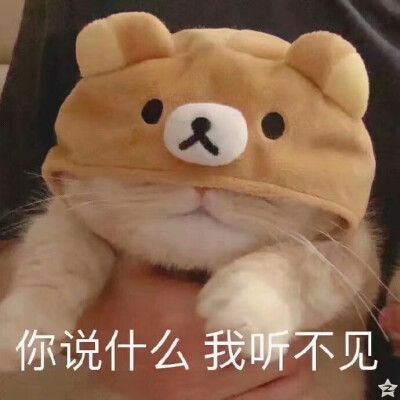 SD-WAN和IPSec之間有什么區(qū)別？