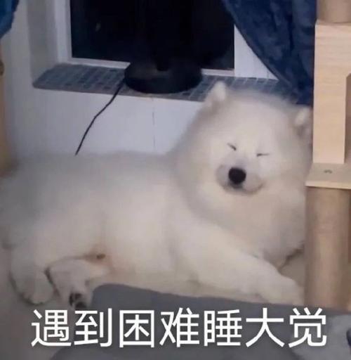 如何解決服務(wù)器延遲過高的問題？