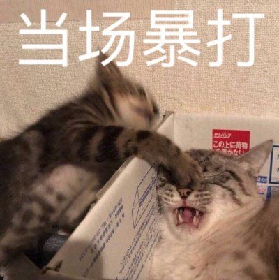 外貿(mào)行業(yè)的網(wǎng)絡(luò)是如何進(jìn)行搭建的？