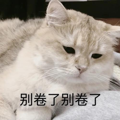 什么是專線，與裸纖有什么區(qū)別？