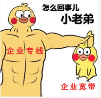 企業(yè)寬帶和企業(yè)專線是一個(gè)東西嗎? 企業(yè)寬帶和企業(yè)專線是一個(gè)東西嗎?