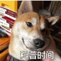 什么是ISP節(jié)點?為什么推薦買雙ISP節(jié)點? 什么是ISP節(jié)點?為什么推薦買雙ISP節(jié)點?
