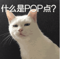 運營商經(jīng)常拿來宣傳的POP點是什么東西? 運營商經(jīng)常拿來宣傳的POP點是什么東西?