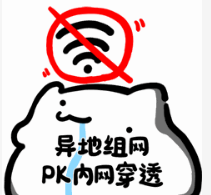 異地組網(wǎng)和內(nèi)網(wǎng)穿透有什么區(qū)別?哪個(gè)更好用? 異地組網(wǎng)和內(nèi)網(wǎng)穿透有什么區(qū)別?哪個(gè)更好用?
