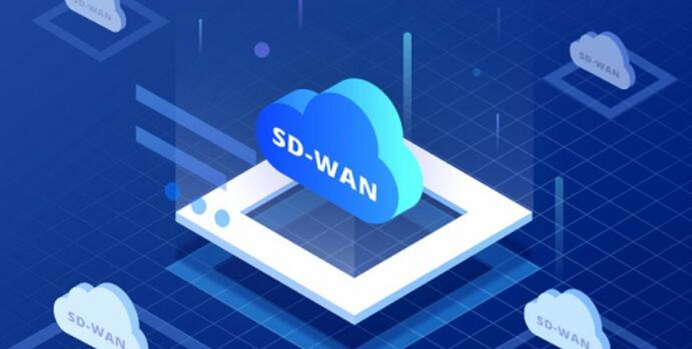 企業(yè)是否適合采用SD-WAN,需要哪些評(píng)估標(biāo)準(zhǔn)? 企業(yè)是否適合采用SD-WAN,需要哪些評(píng)估標(biāo)準(zhǔn)?