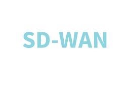 sdwan價格受哪些因素影響