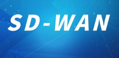 sdwan支持的組網(wǎng)方式有什么