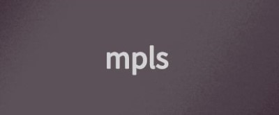 mpls中l(wèi)er和lsr的主要區(qū)別