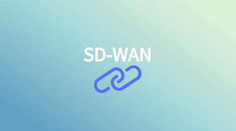 SD-WAN技術(shù)體系結(jié)構(gòu)