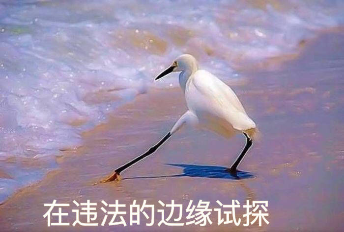 “迪麗熱巴”“楊冪”直播賣貨？電商這樣使用AI才正確！