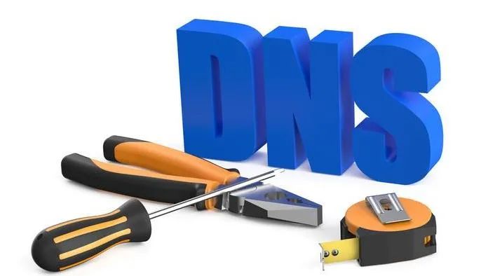 dns服務器設置的目的是什么？