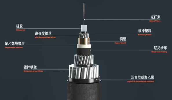 什么是PEACE海底光纜?