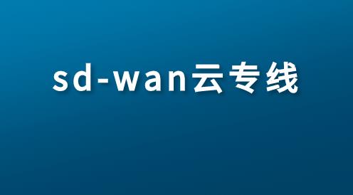 Sdwan設(shè)備是干什么用的究竟？