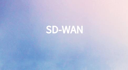 sdwan接入方式有哪些？