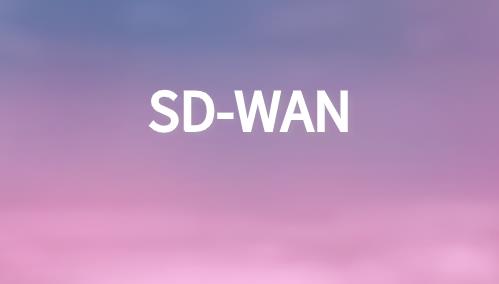 sdwan價(jià)格跟哪些方面有關(guān)系